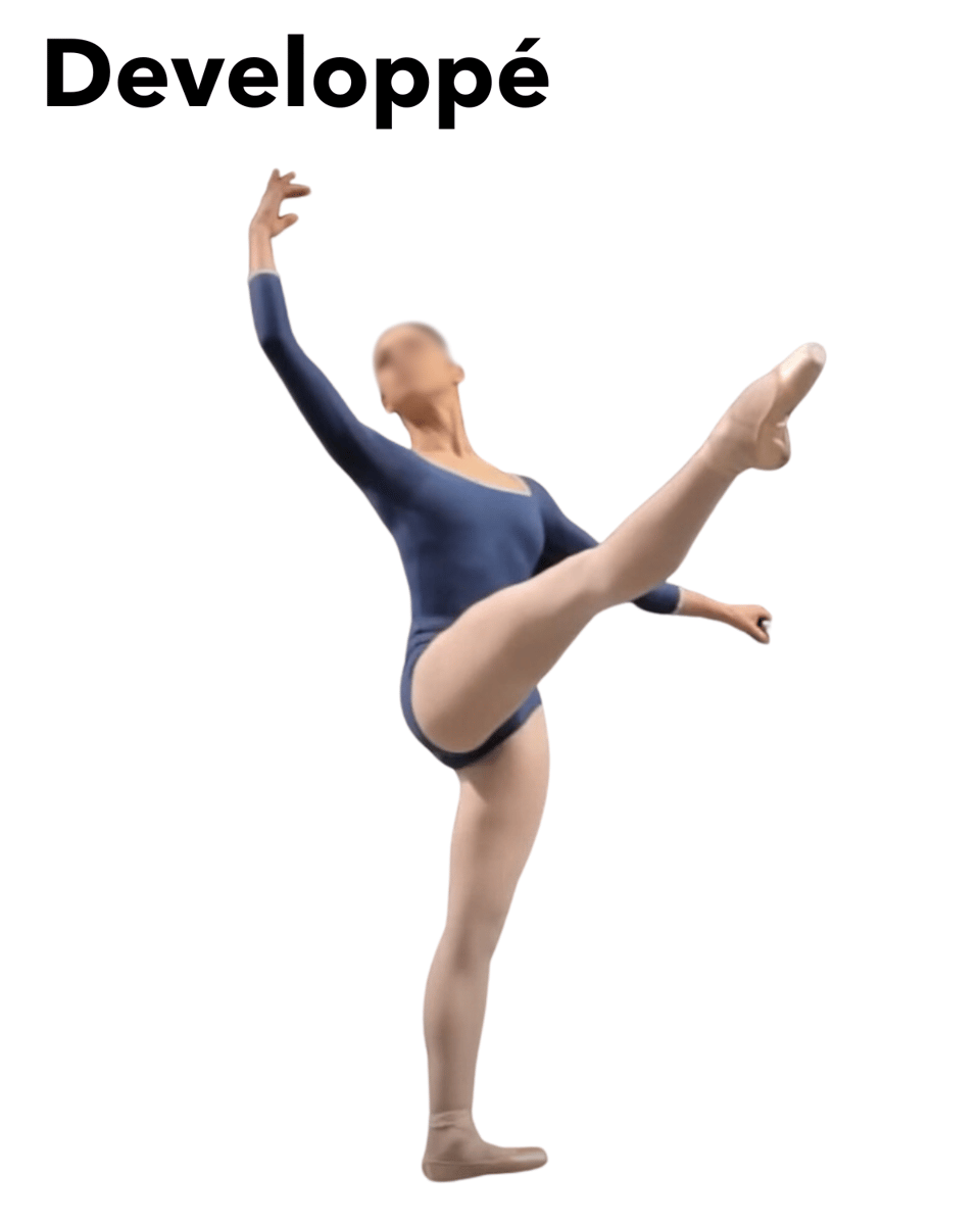 BALLET MOVE CROSSWORD CLUE visual data 2